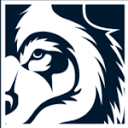 Blue Wolf Capital Partners LLC logo